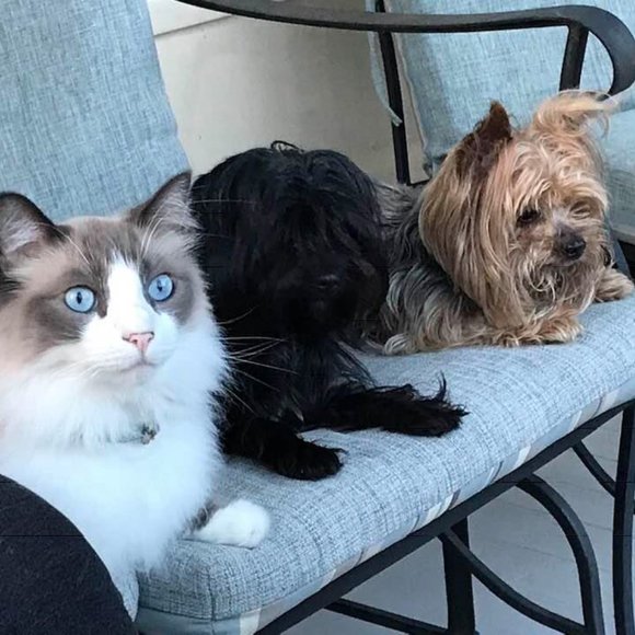 Lots of retro and vintage style clothing - Picture 3 of 4